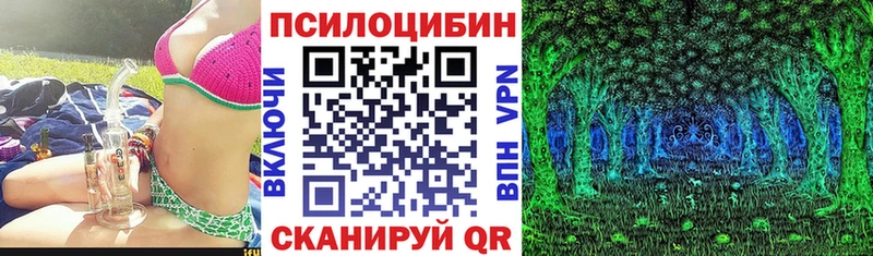 Псилоцибиновые грибы мухоморы  сайты даркнета какой сайт  Нахабино  где продают наркотики 